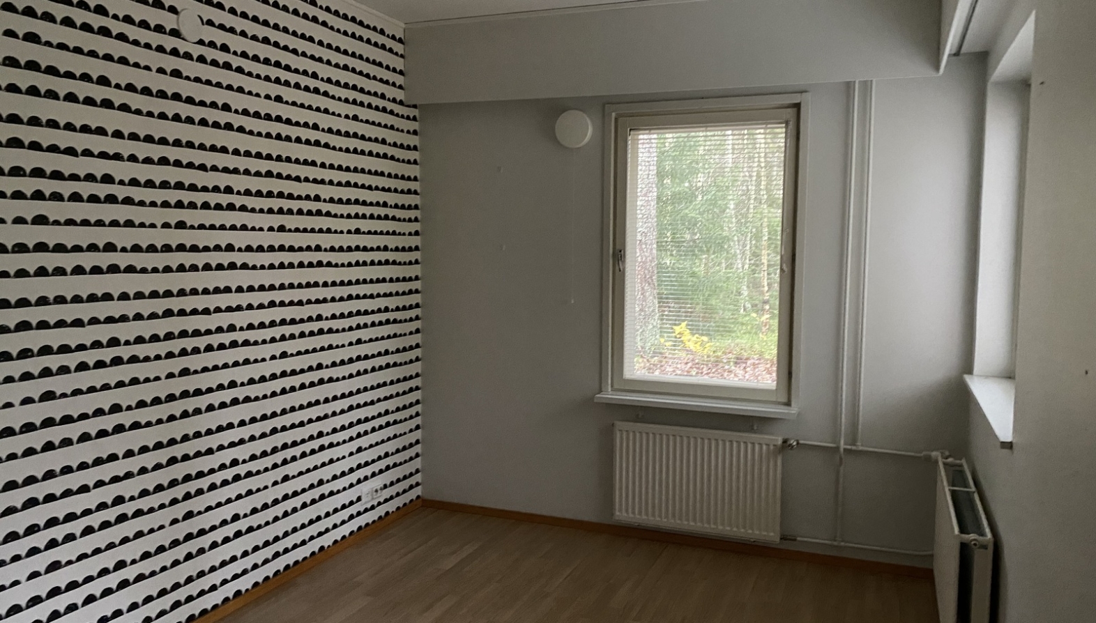 1667818163611 12556
