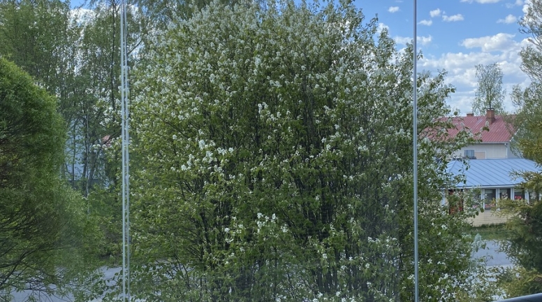 1668005068613 19393
